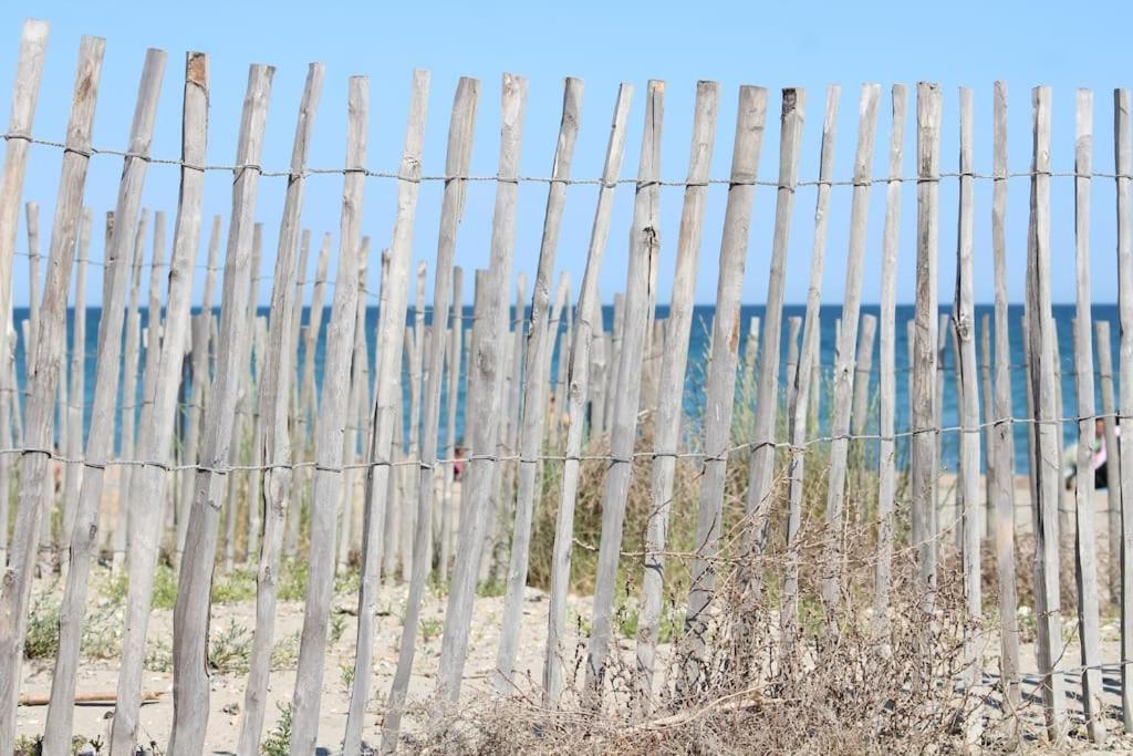 Chez Laura Et Benjamin ! Maison A La Plage Climatisee フロンティニャン エクステリア 写真